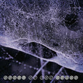 Speed Of The Stars (Steve Kilbey & Frank Kearns) Speed Of The Stars