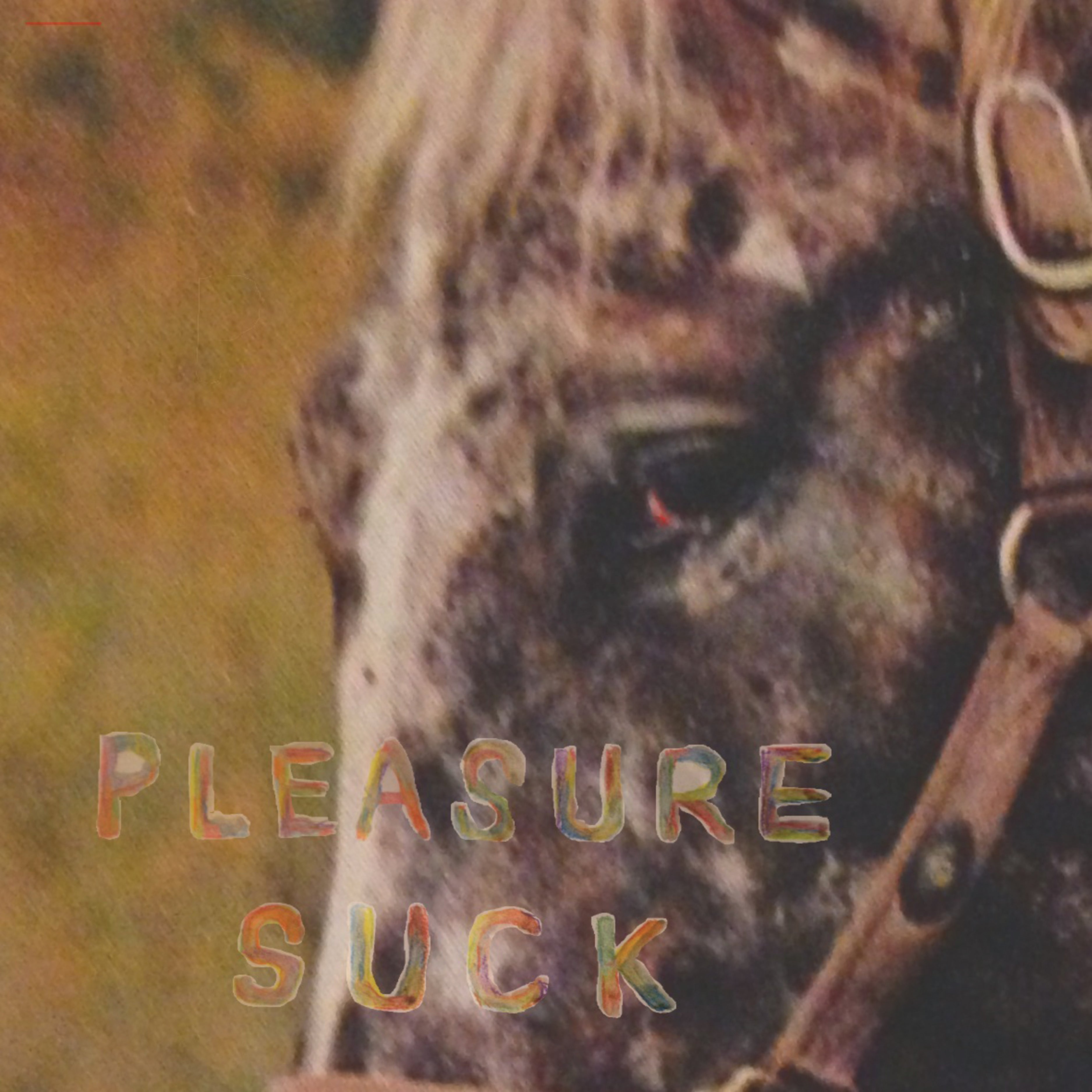 SPIRIT OF THE BEEHIVE Pleasure Suck