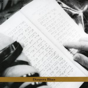 Steven Bernstein Diaspora Blues