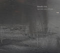 STRAFE F.R. The Bird Was Stolen