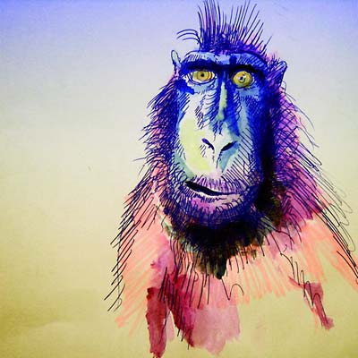 TER Fingerprints
