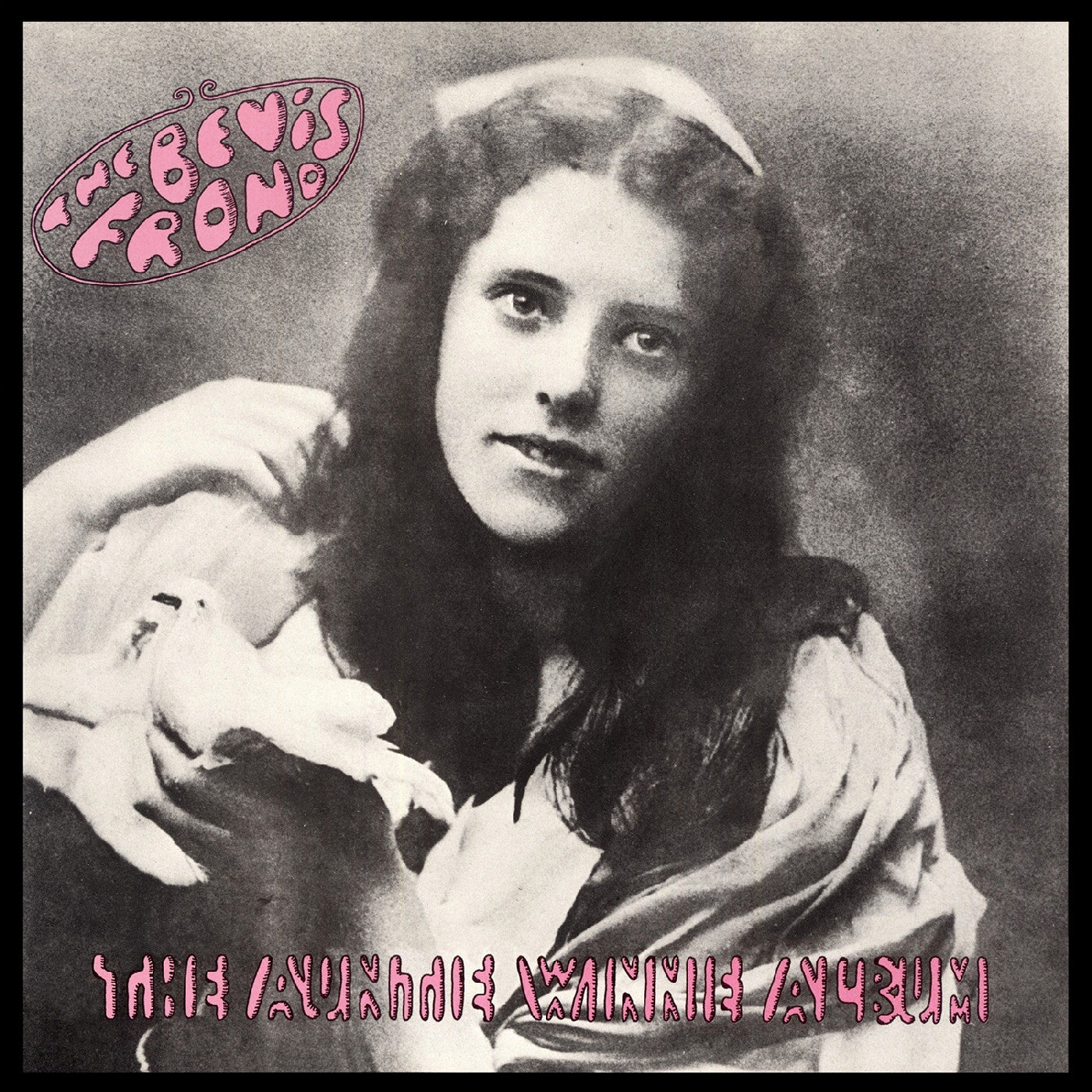 The Bevis Frond The Auntie Winnie Album