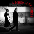 The Black Crowes A Pound Of Feathers