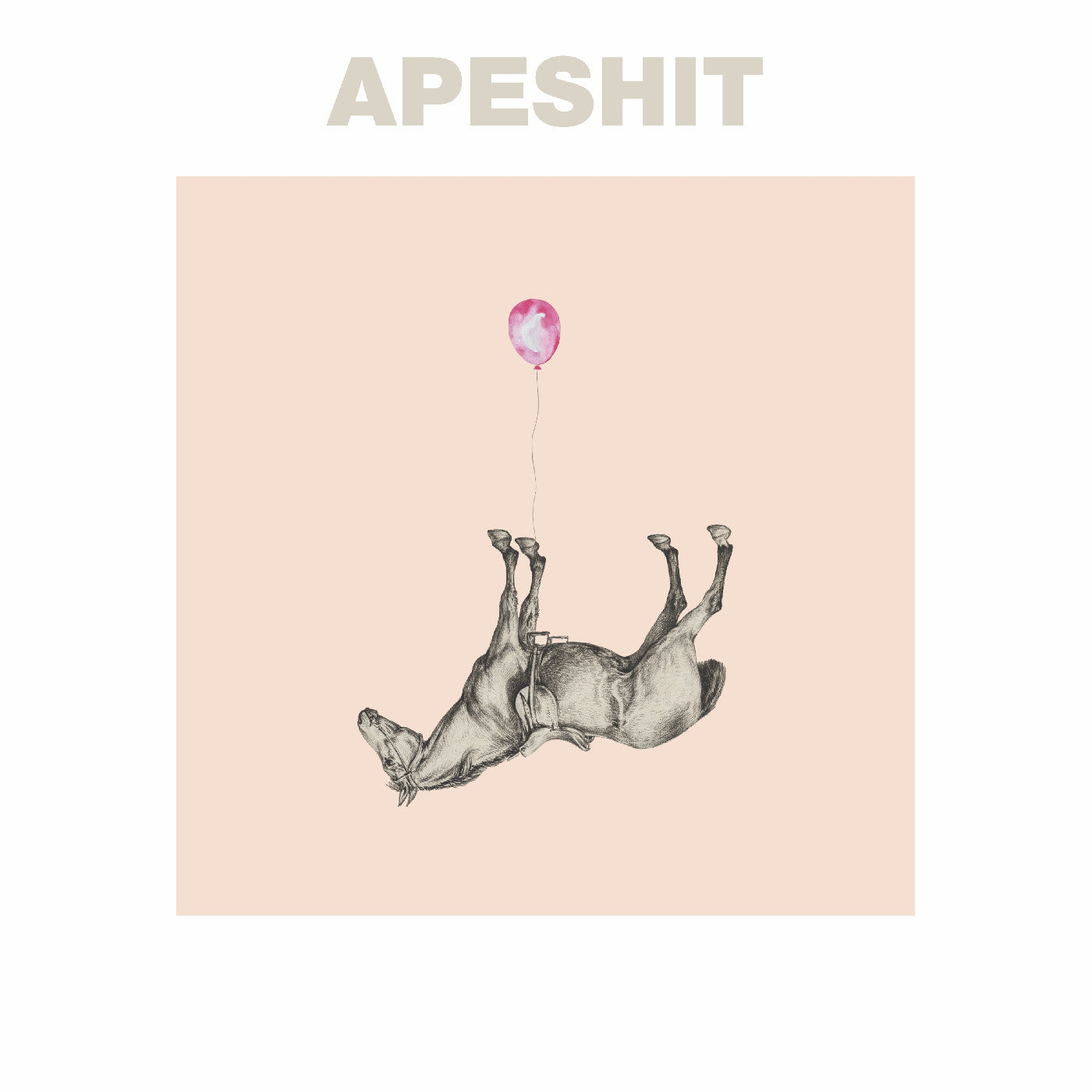 The Sound Of Animals Fighting Apeshit