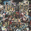 The Wolfhounds Bright and Guilty