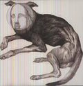 Thee Oh Sees Putrifiers II