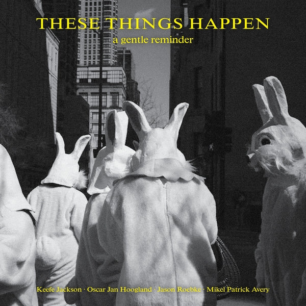 These Things Happen A Gentle Reminder [LP]