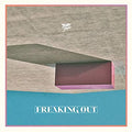 Toro Y Moi Freaking Out
