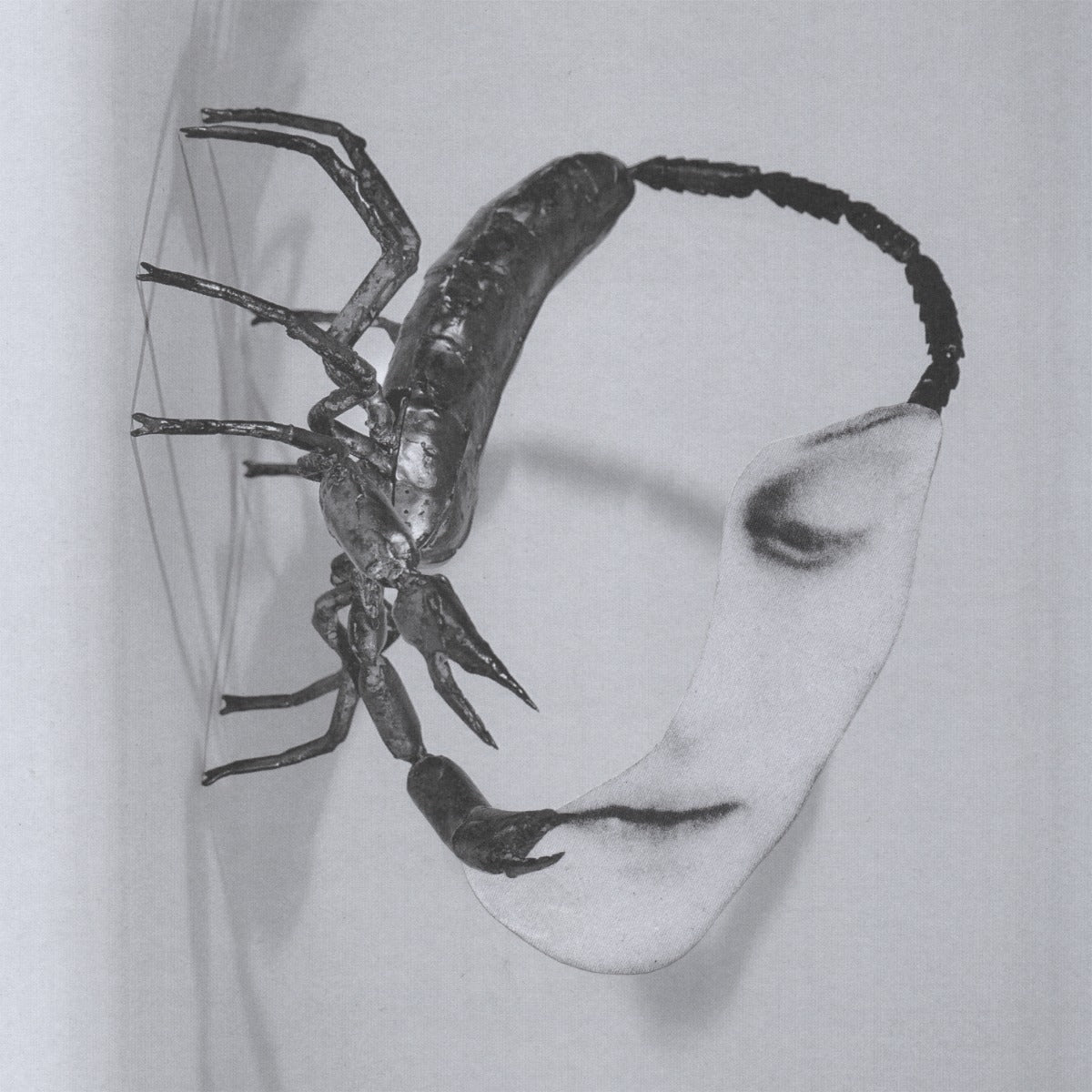 Tortoise Touch [140 Gram Black Vinyl]