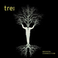 Treee Broken Connection