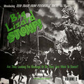 Va Big Lizard Stomp! Volume 2: Teen Trash from Psychedelic Tokyo '66-'69