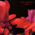 Va Pop Ambient 2010