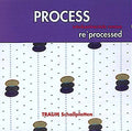 Va Process - Re'Processed