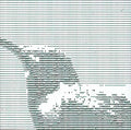 Va RKK 13