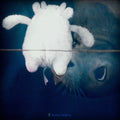 Va Tendres Tenebres