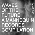 Va Waves Of The Future