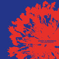 VARIAT & MERZBOW Unintended Intention