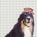 Various Artists Mollie's Mix