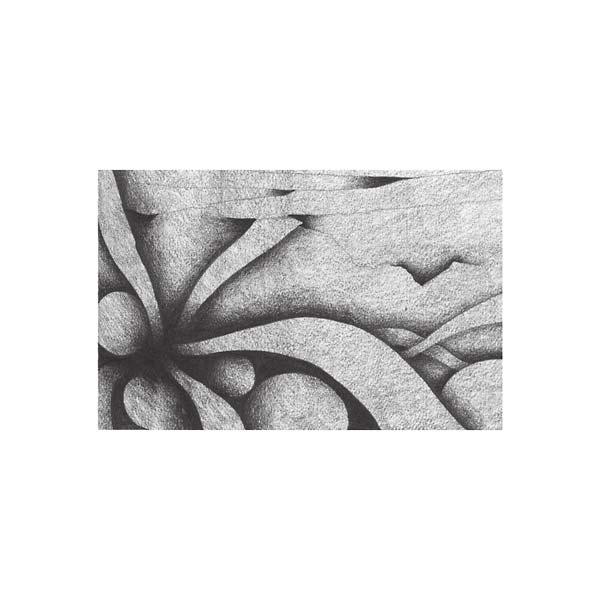 VIBRACATHEDRAL ORCHESTRA Unnatural with Pain-Relief