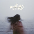 VILMA FLOOD Flood