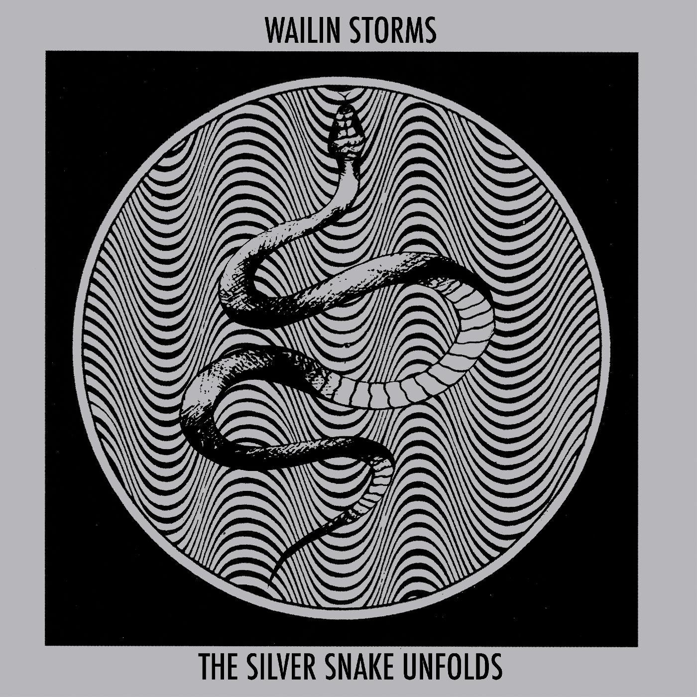 Wailin Storms The Silver Snake Unfolds