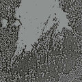 WALLS Urals
