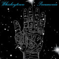 Whiskeytown Pneumonia [Clearwater Blue] [2Lp]