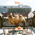 Wilco Wilco: The Album (Bonus CD) (180 Gram Vinyl)